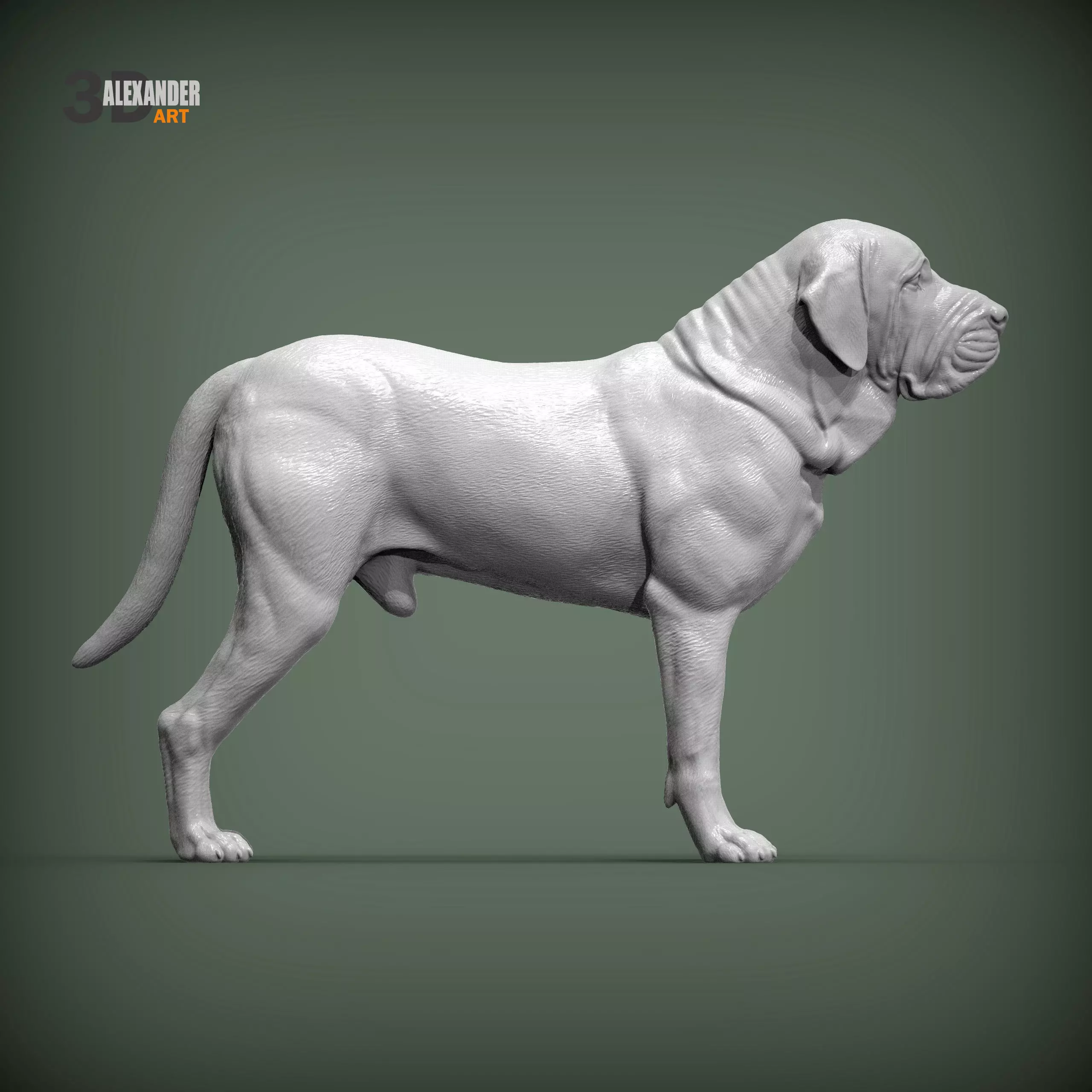 Fila Brasileiro 3D print model_0