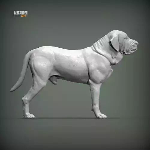 Fila Brasileiro