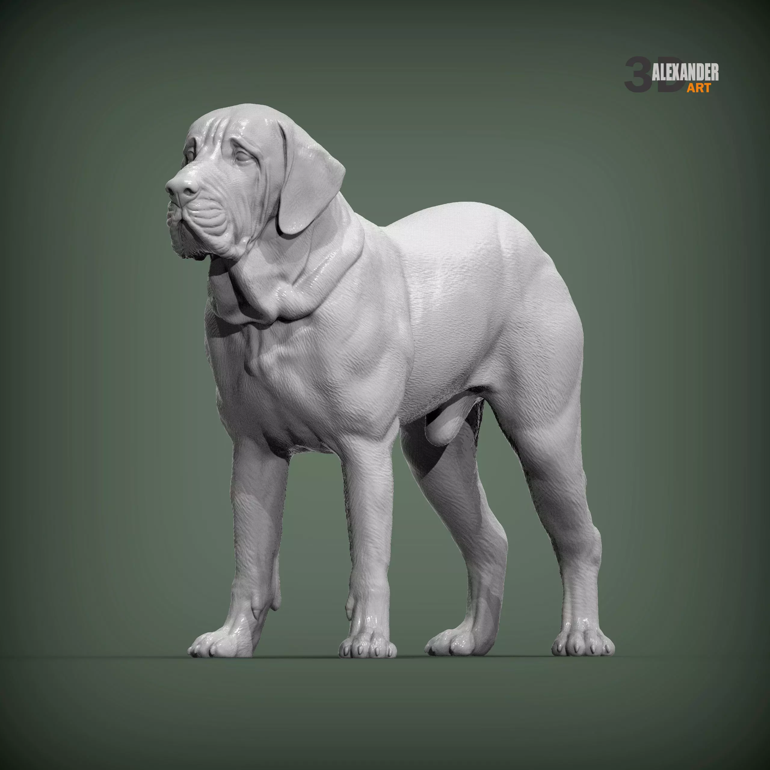 Fila Brasileiro 3D print model_3