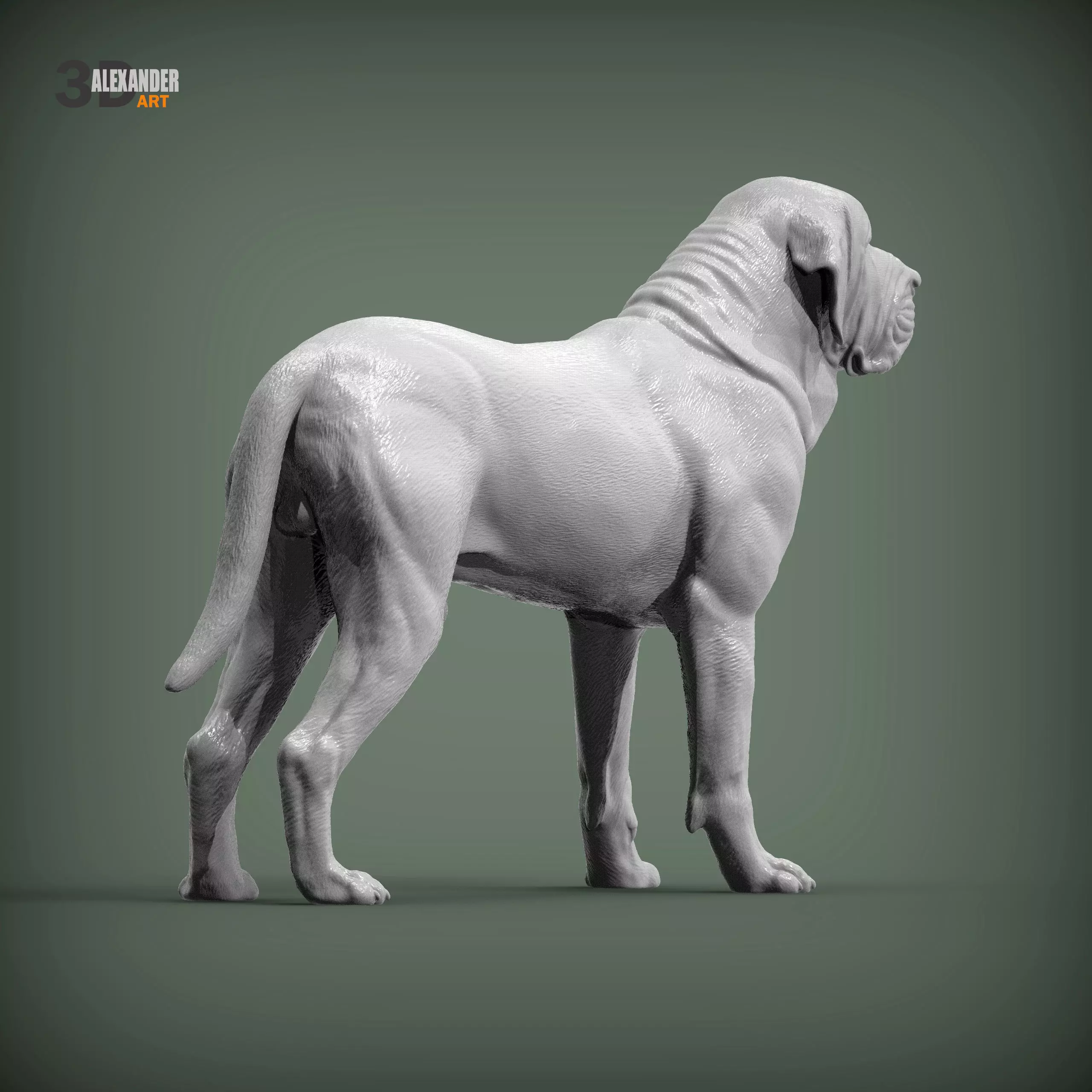 Fila Brasileiro 3D print model_7