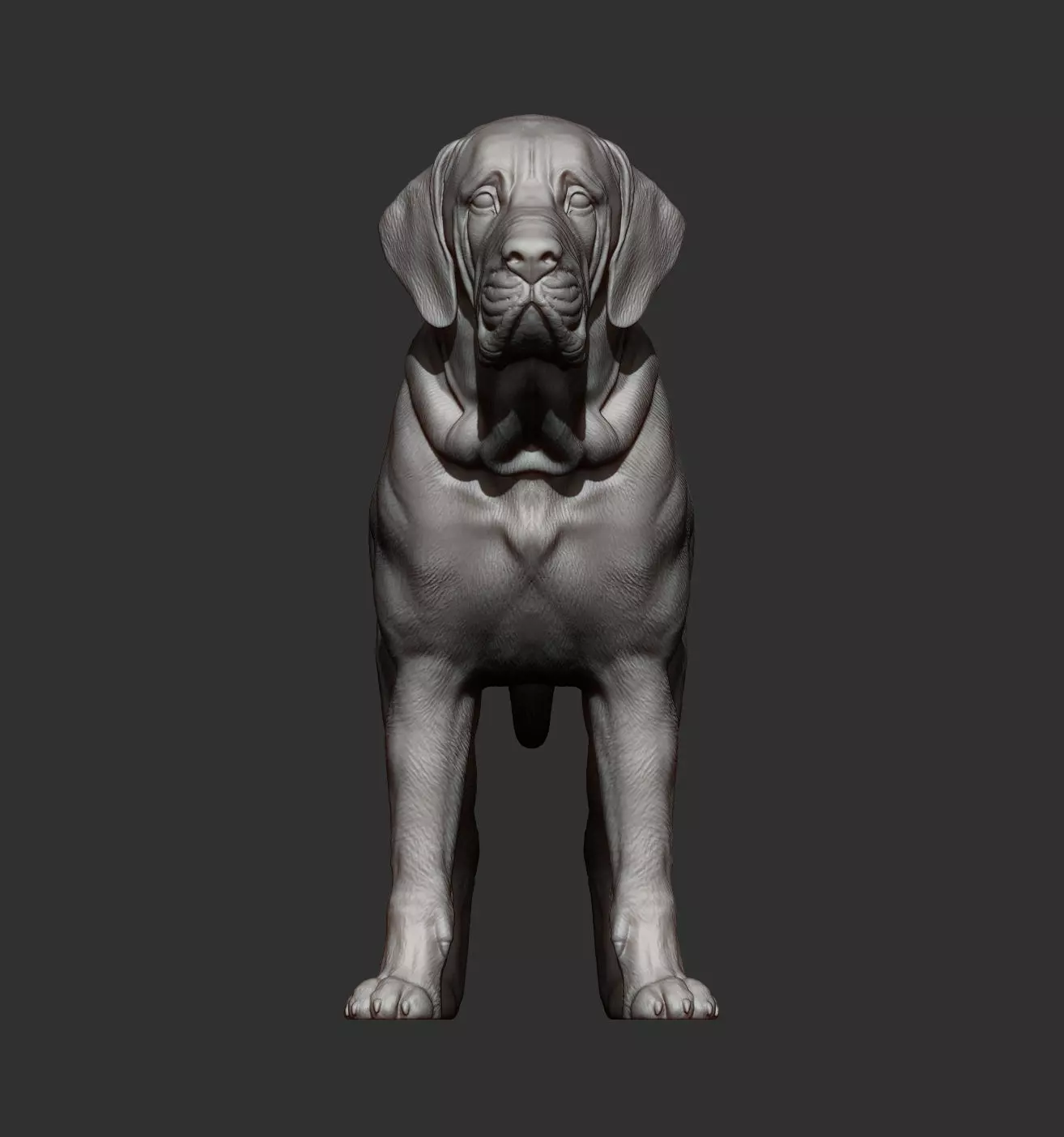 Fila Brasileiro 3D print model_1