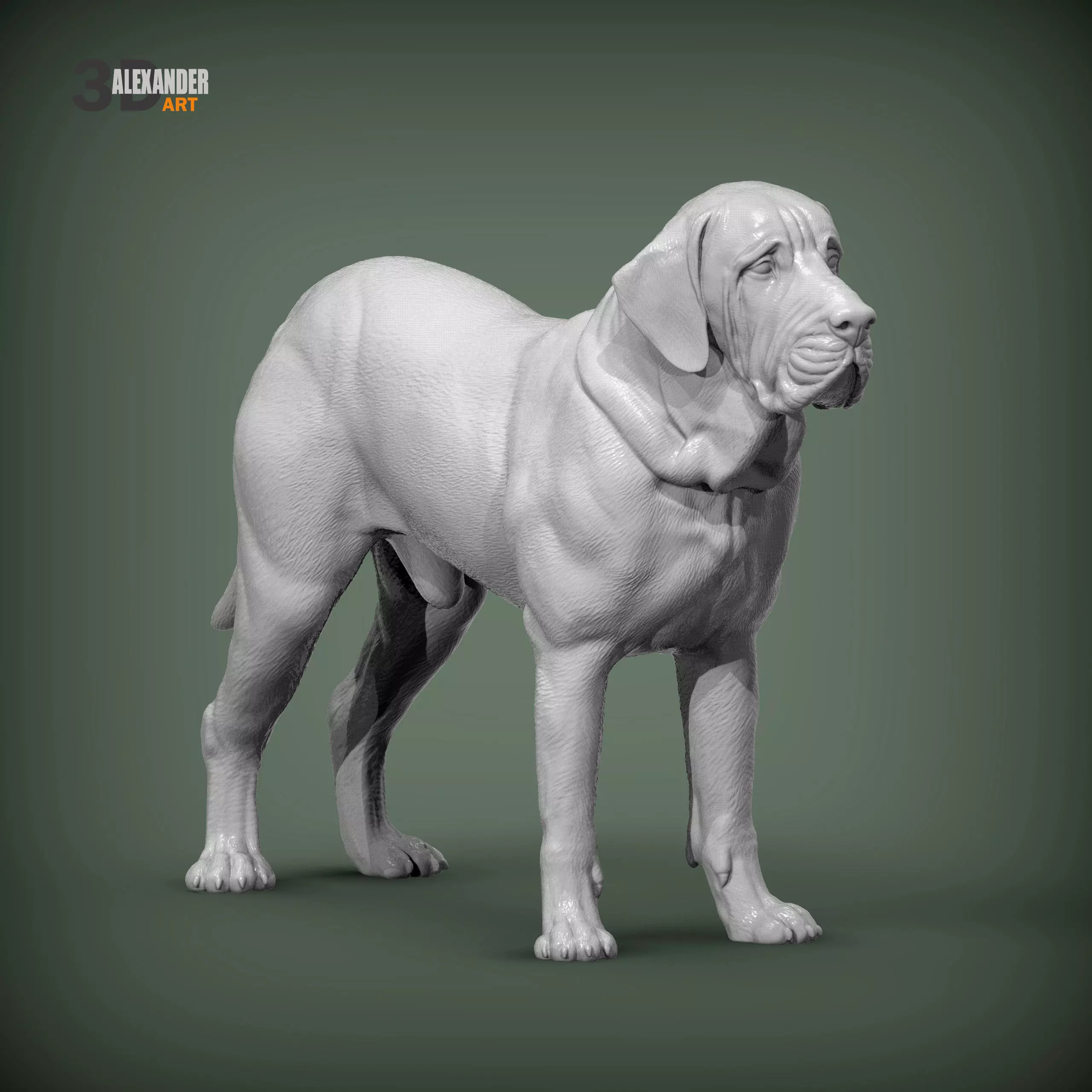 Fila Brasileiro 3D print model_5