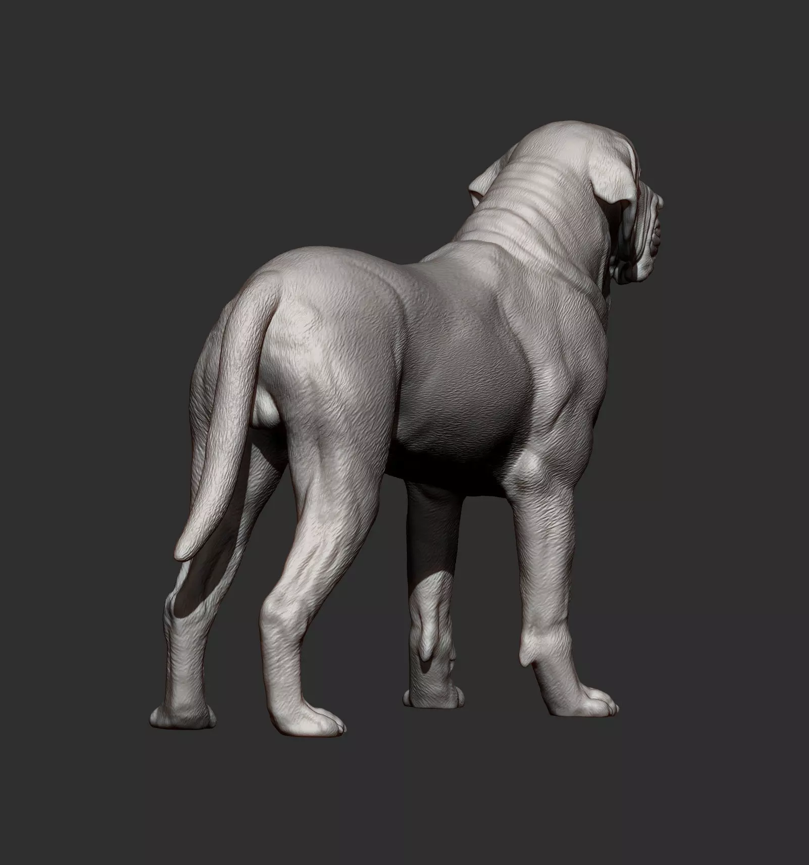 Fila Brasileiro 3D print model_2