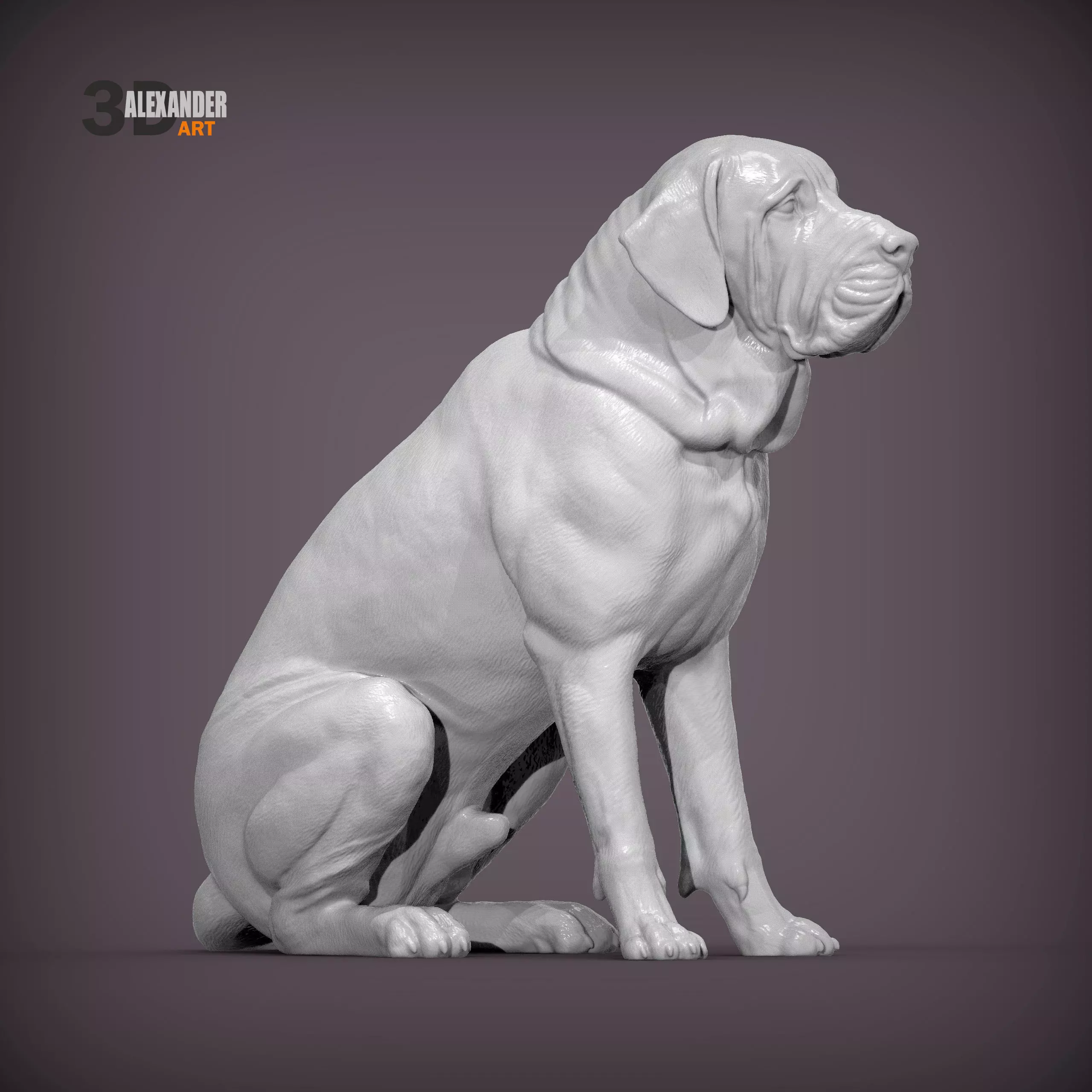 Fila Brasileiro Sits 3D print model_3