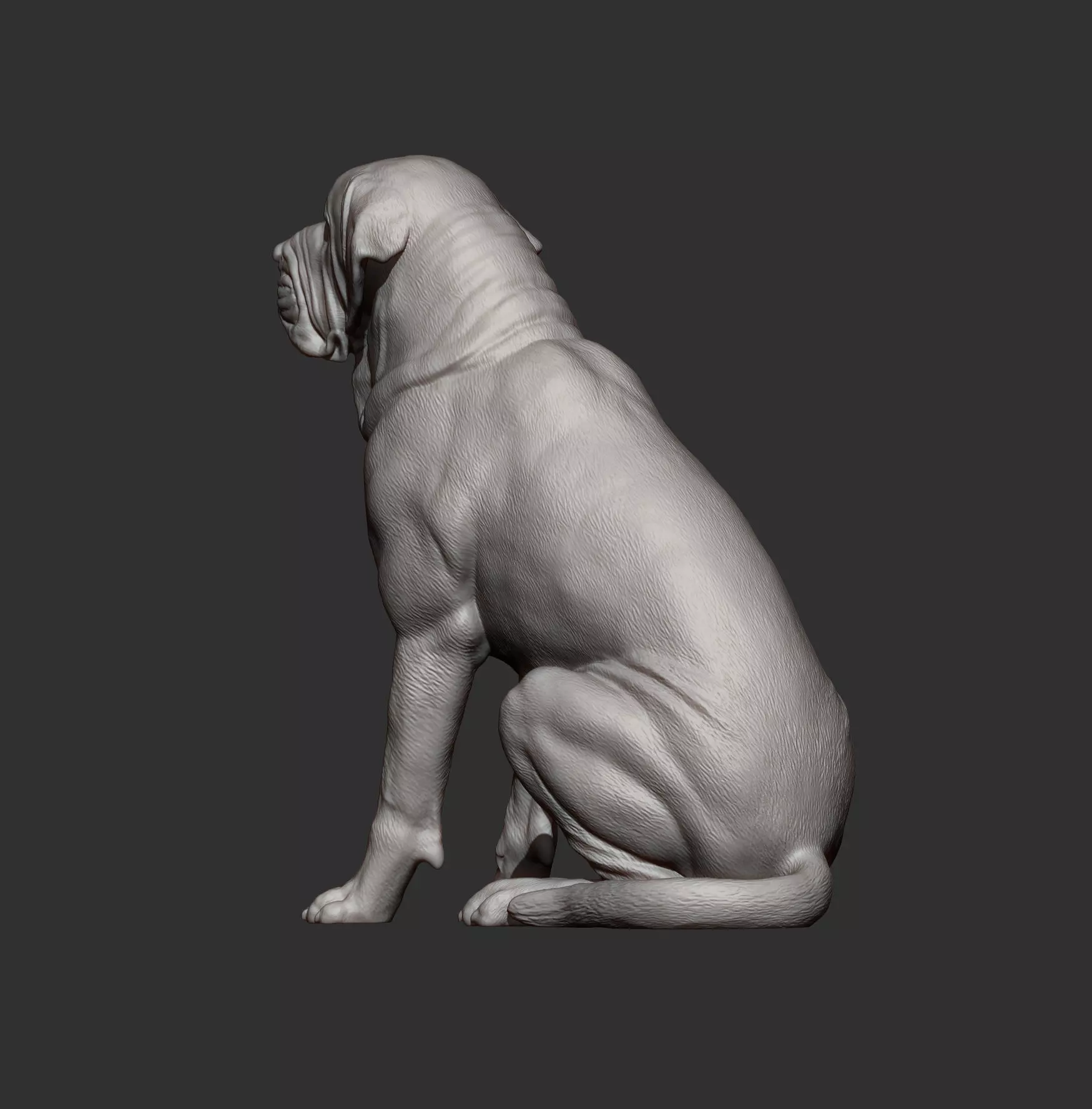 Fila Brasileiro Sits 3D print model_8