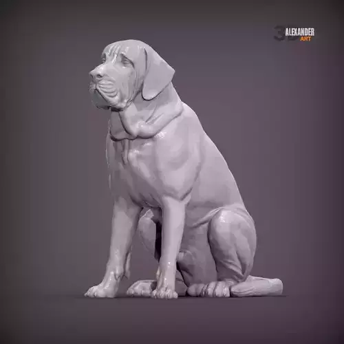 Fila Brasileiro Sits