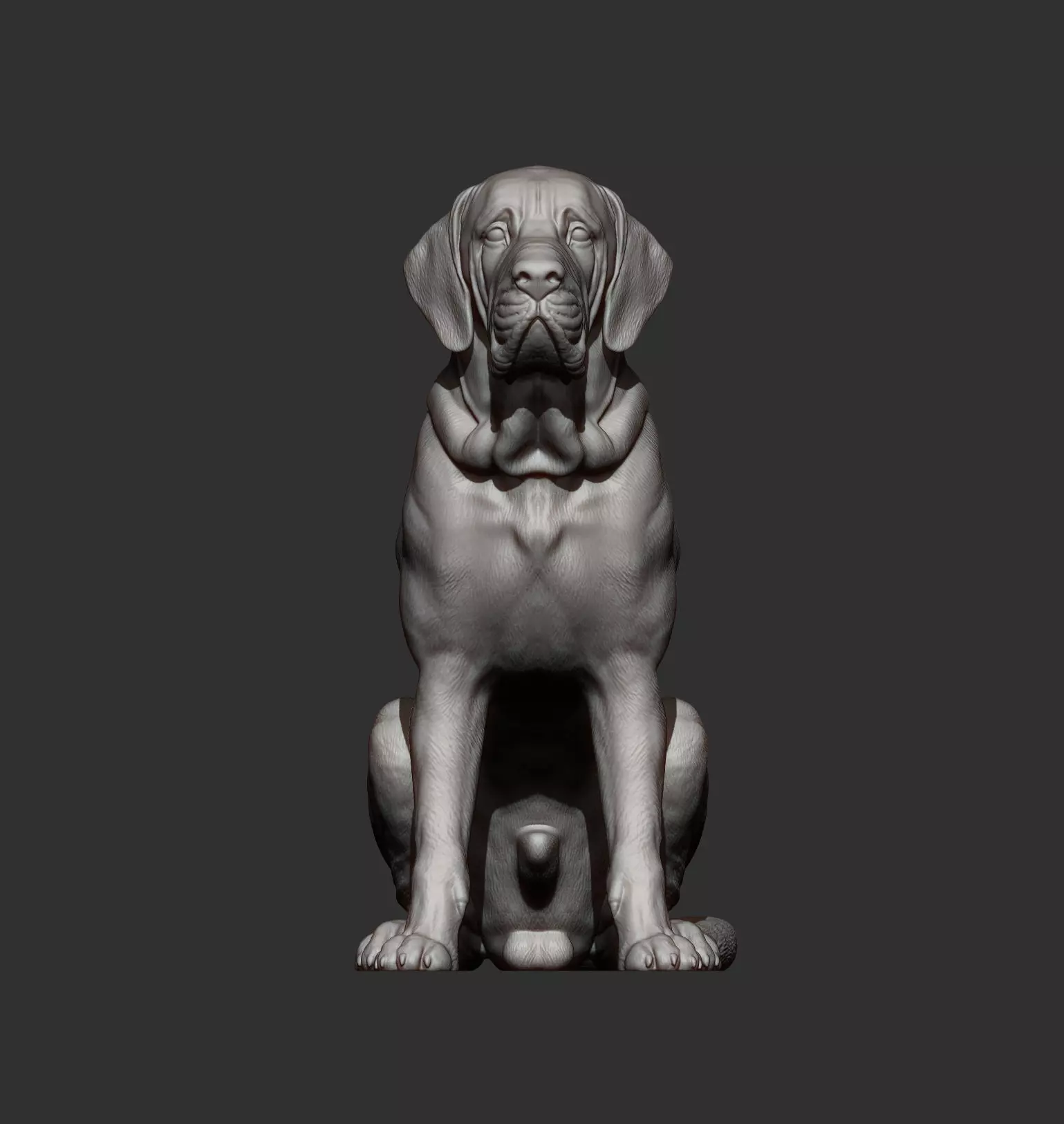 Fila Brasileiro Sits 3D print model_6