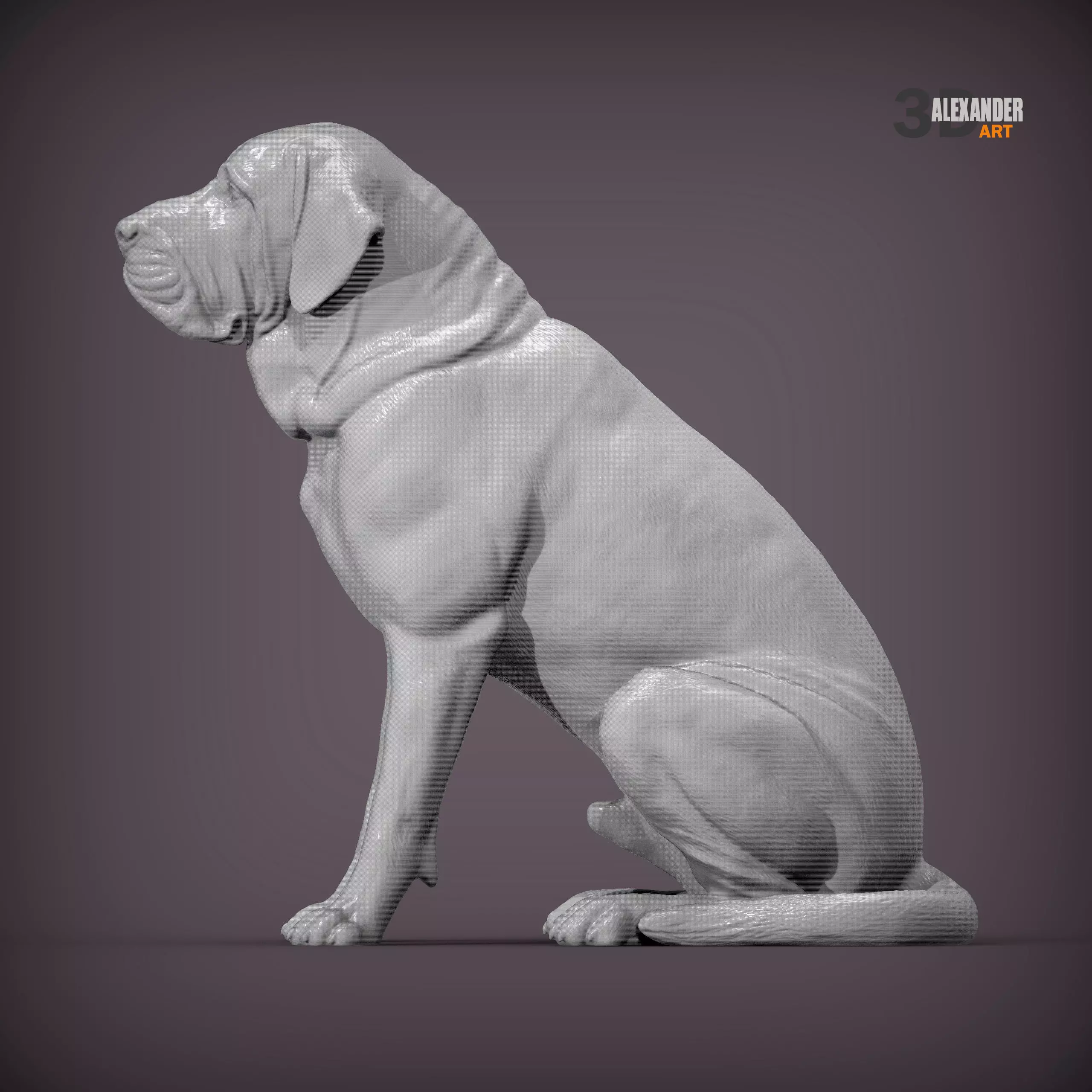 Fila Brasileiro Sits 3D print model_1