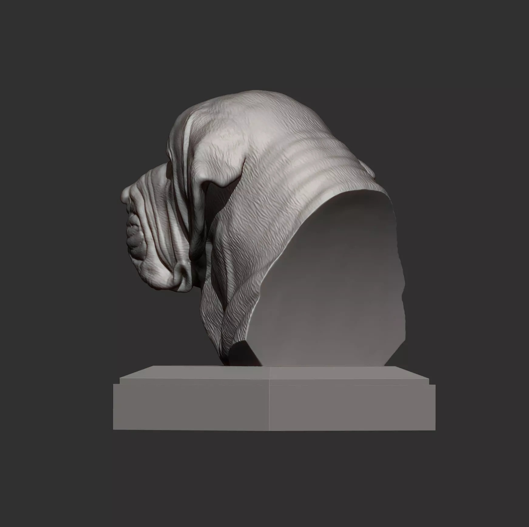 Fila Brasileiro Bust 3D print model_5