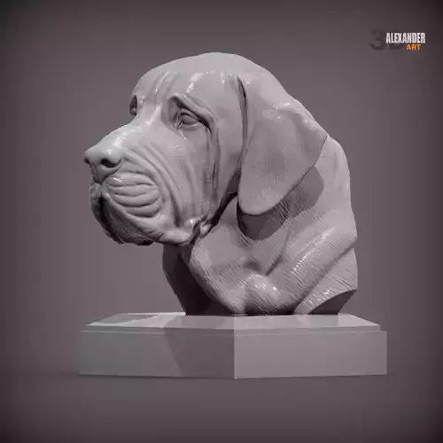 Fila Brasileiro Bust