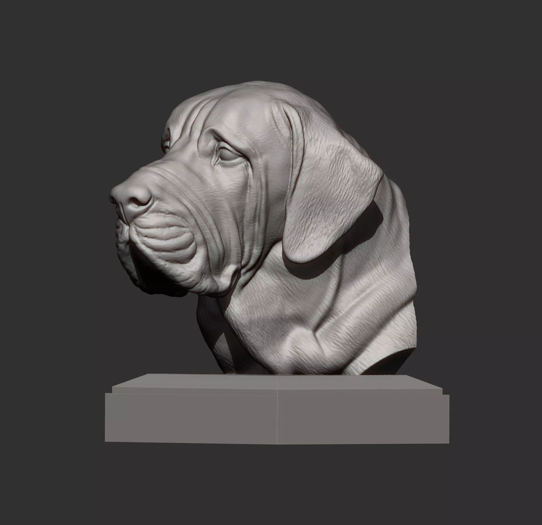 Fila Brasileiro Bust 3D print model_4