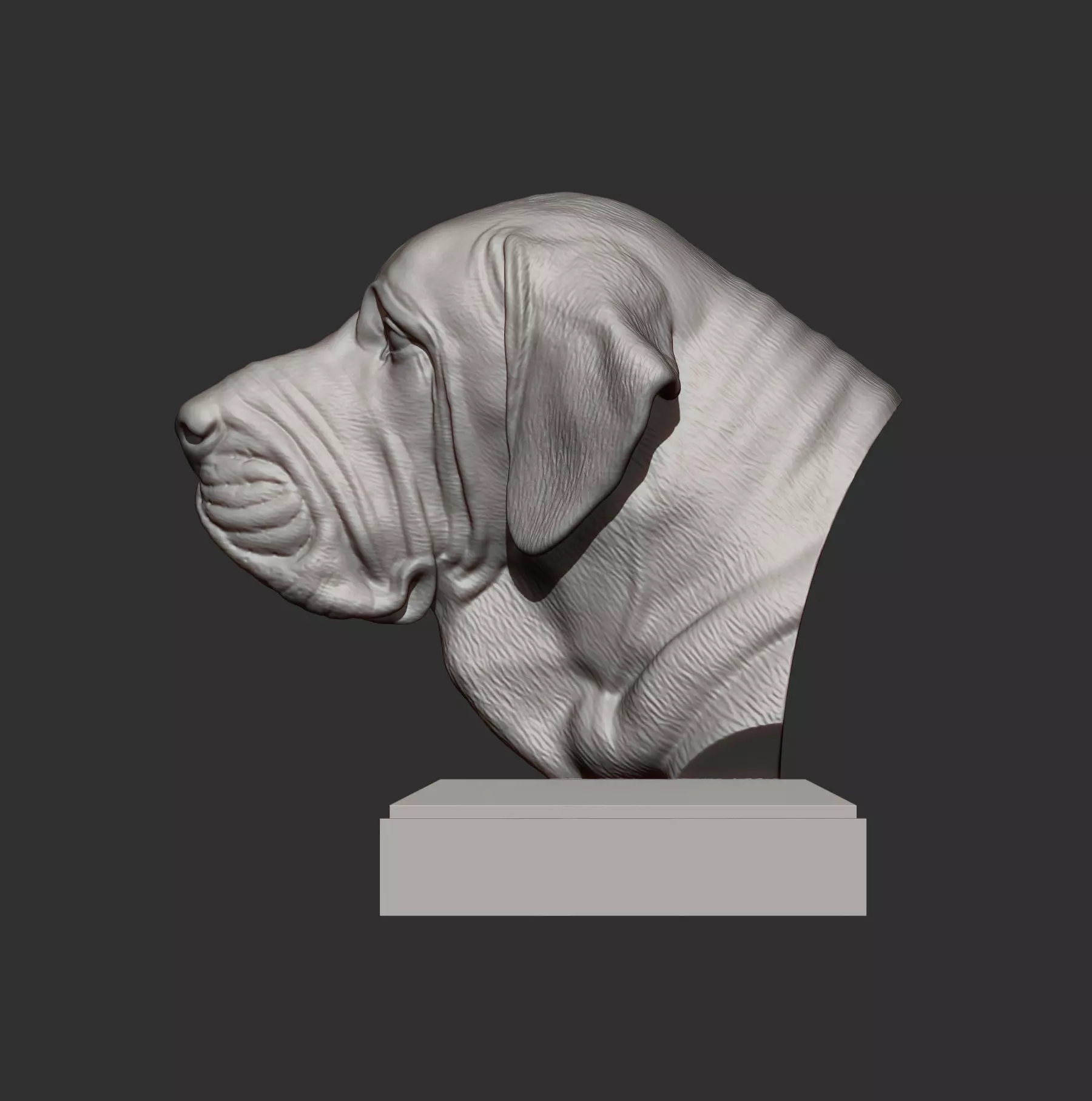 Fila Brasileiro Bust 3D print model_3
