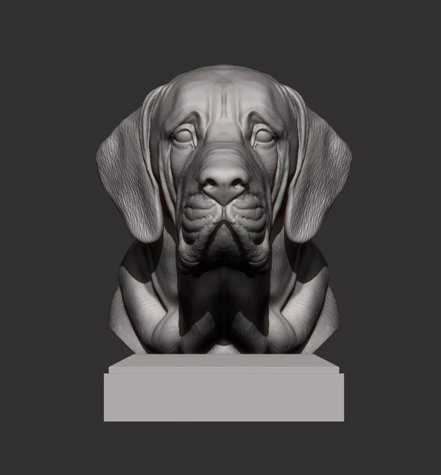 Fila Brasileiro Bust 3D print model_6