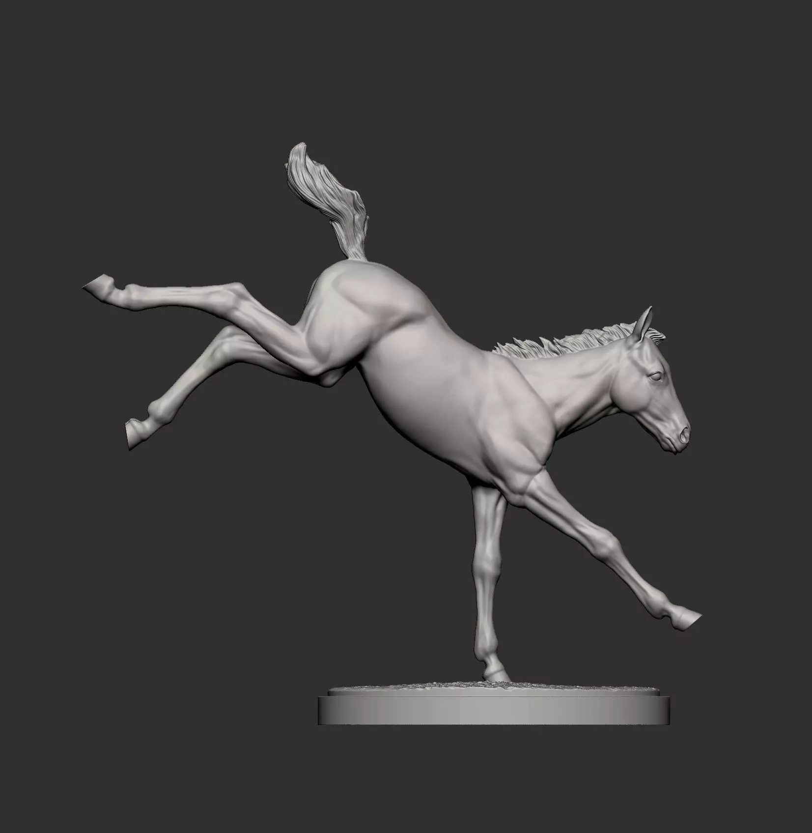 Foal Kicks 3D print model_7