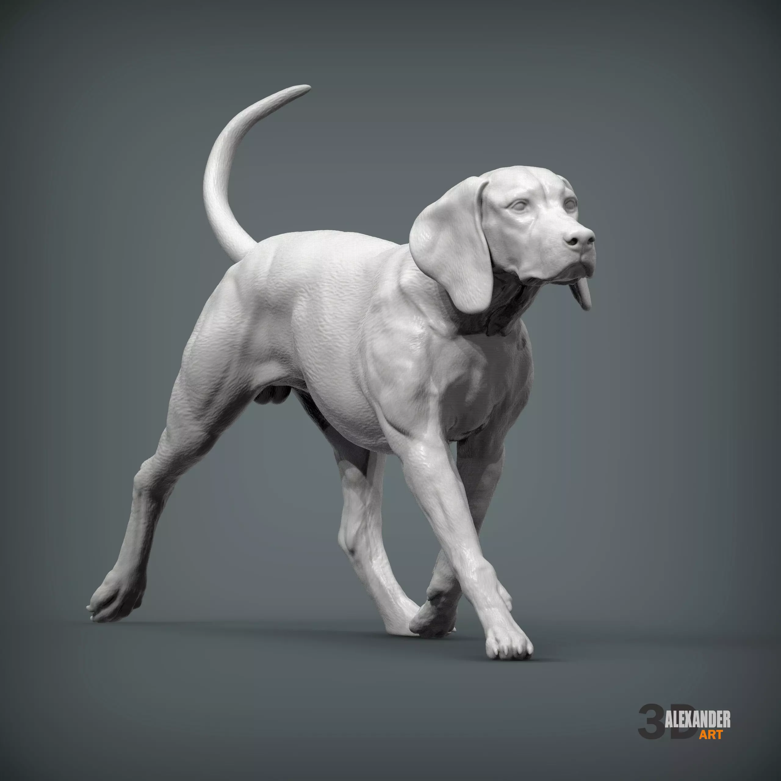 Hungarian Vizsla Running 3D print model