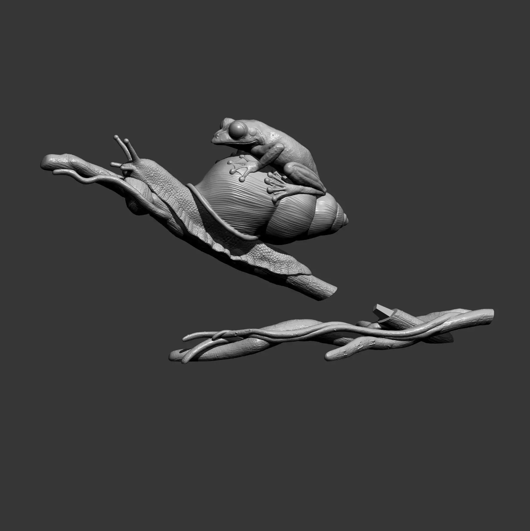 Wallaces Flying Frog on a Snail sculpture 3D print model_6