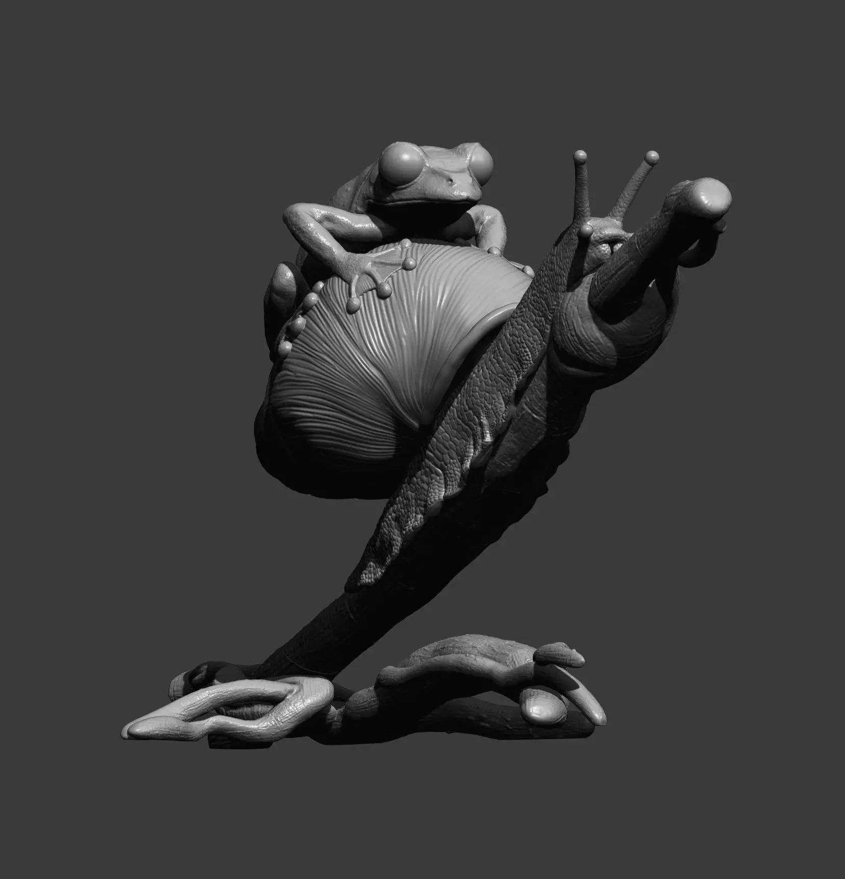 Wallaces Flying Frog on a Snail sculpture 3D print model_8