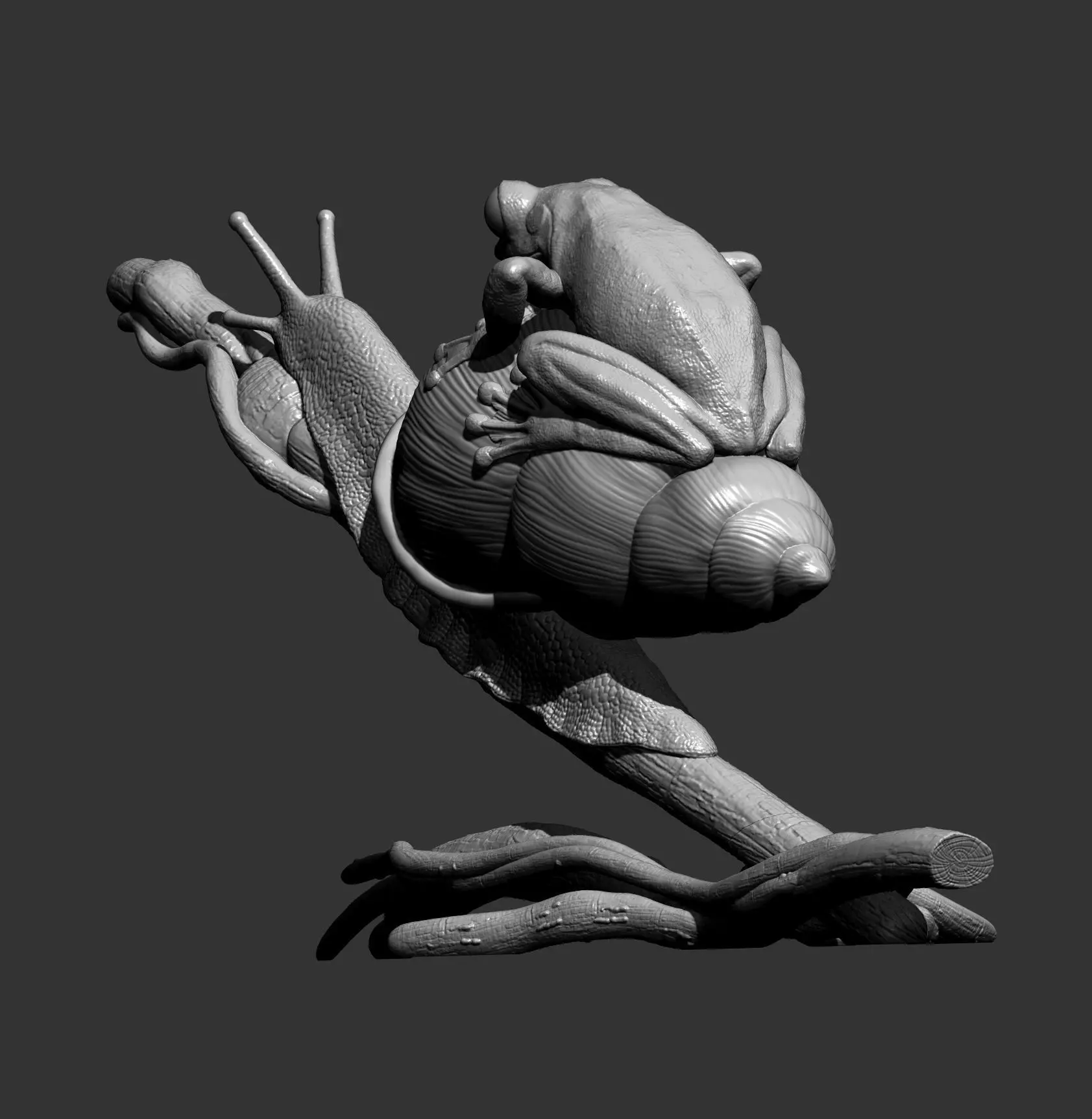 Wallaces Flying Frog on a Snail sculpture 3D print model_9