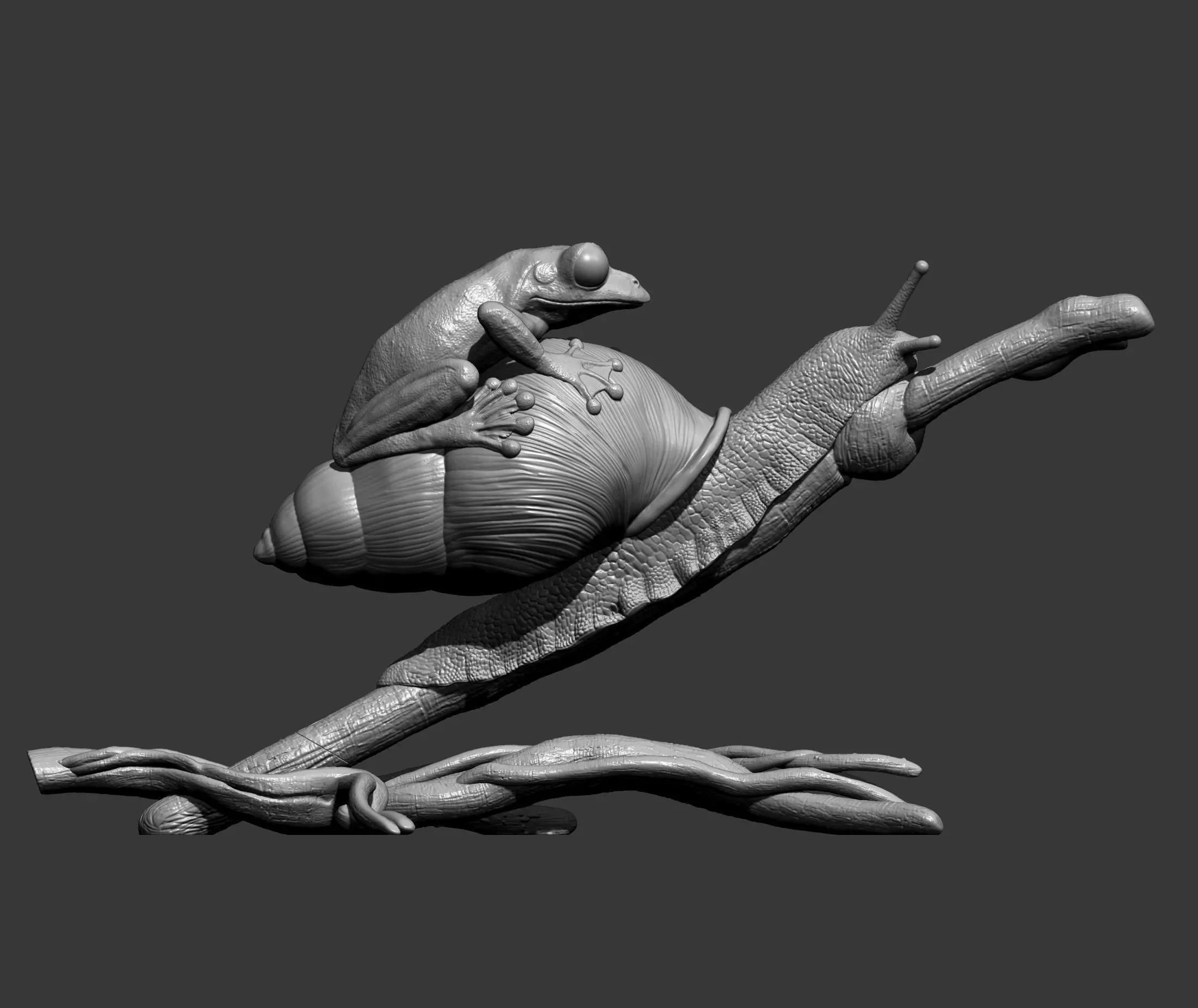 Wallaces Flying Frog on a Snail sculpture 3D print model_11