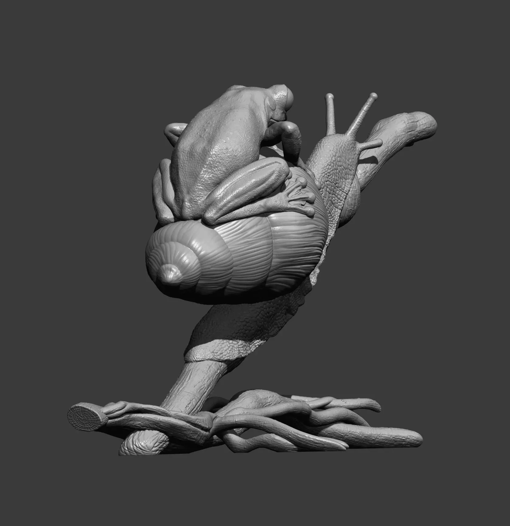 Wallaces Flying Frog on a Snail sculpture 3D print model_10
