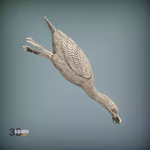 Cormorant on the hunt