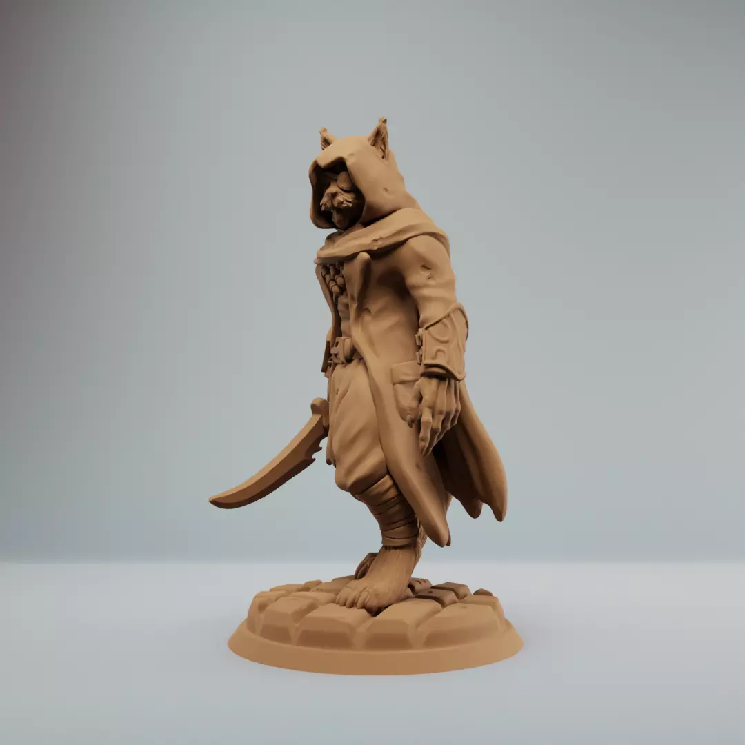 Tabaxi Rogue Tabaxi with knife  3D print model_3