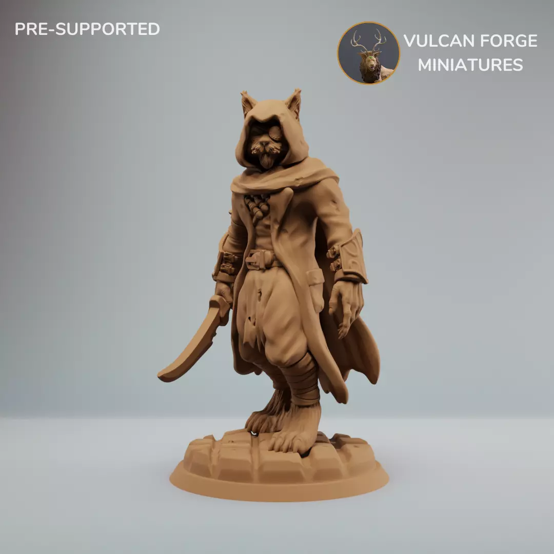 Tabaxi Rogue Tabaxi with knife  3D print model_0