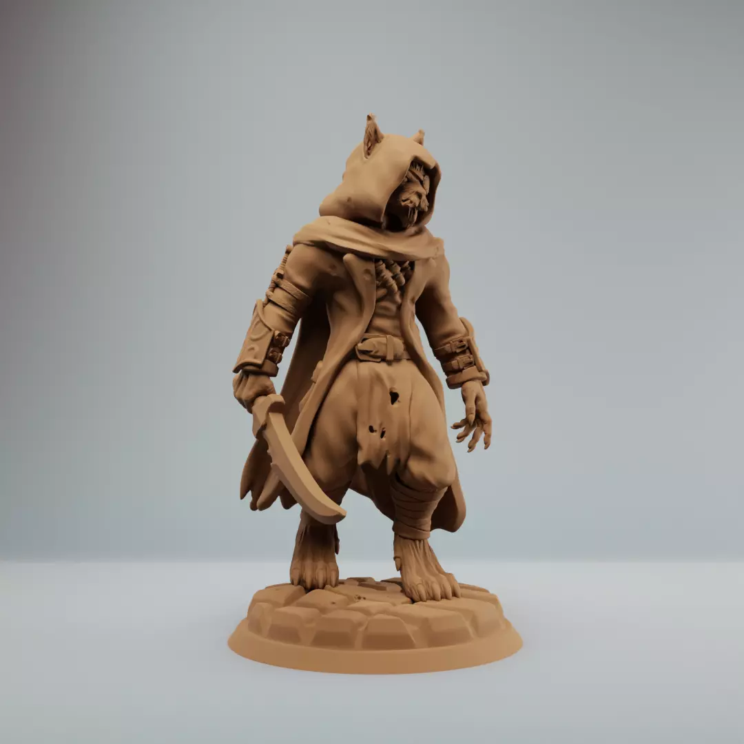 Tabaxi Rogue Tabaxi with knife  3D print model_1