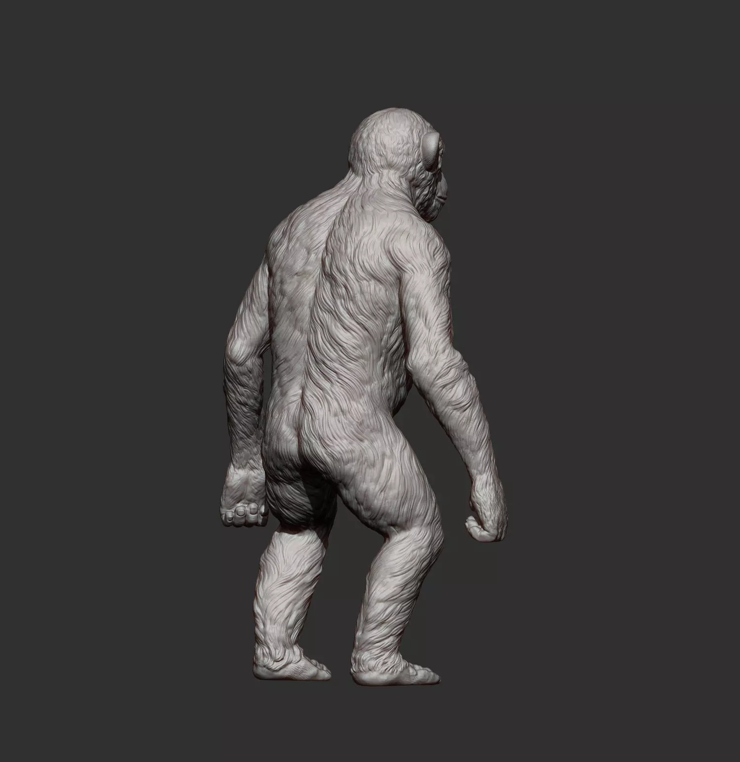 chimpanzee is standing 3D print model_9
