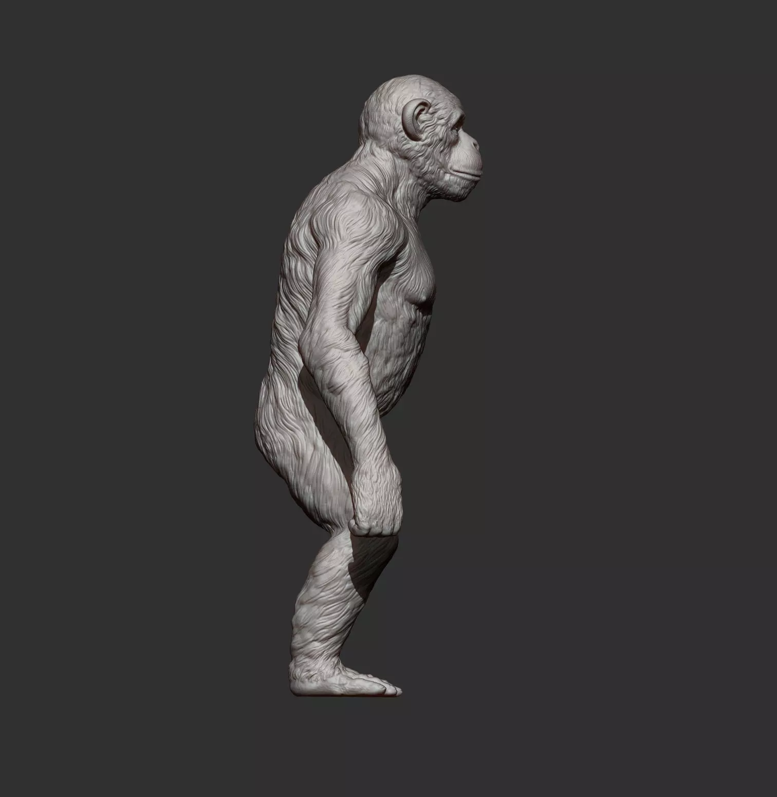 chimpanzee is standing 3D print model_8