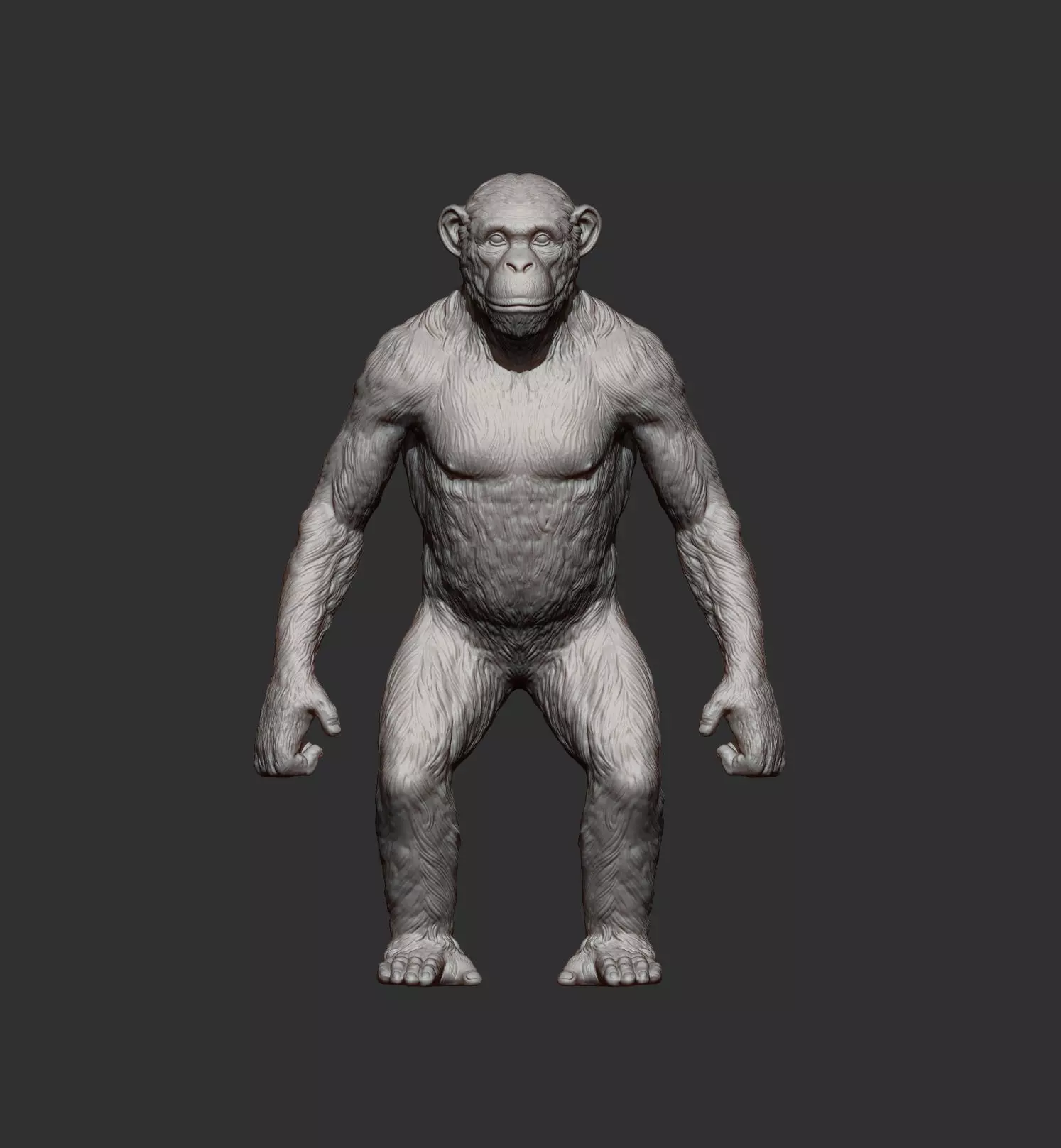 chimpanzee is standing 3D print model_6