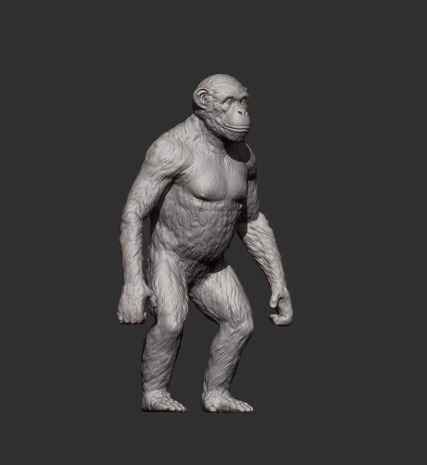 chimpanzee is standing 3D print model_7