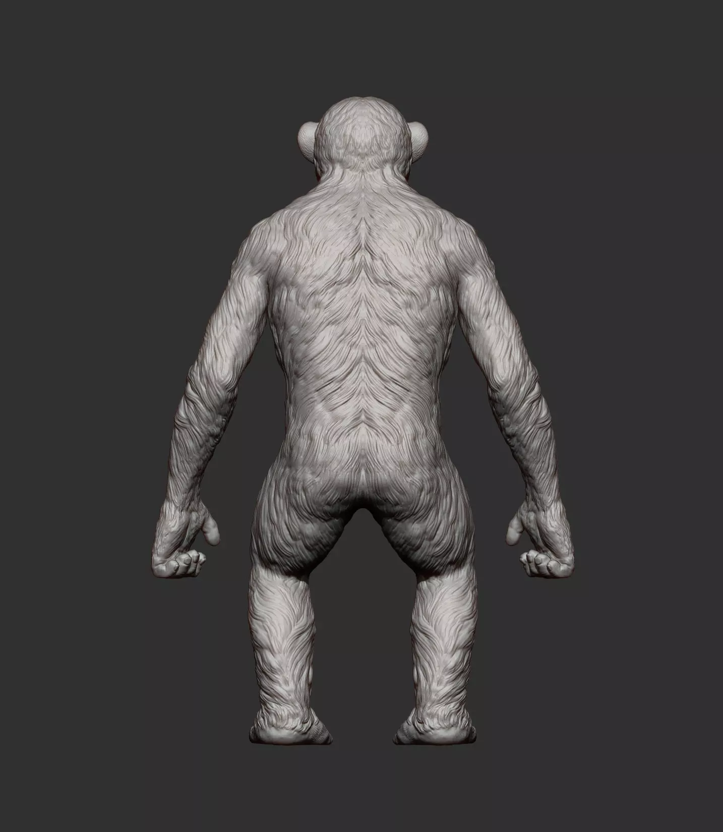 chimpanzee is standing 3D print model_5