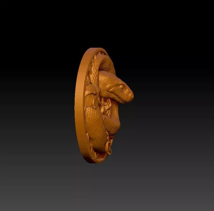 Coiled Snake Medallion 3D Model 3D print model_6