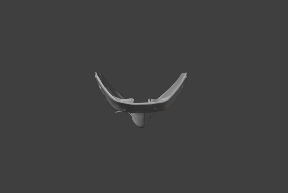 Silence Reaver Mask Low-poly 3D model_19