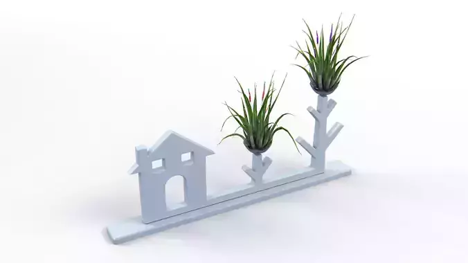 Air Plant Decor Free 3D model