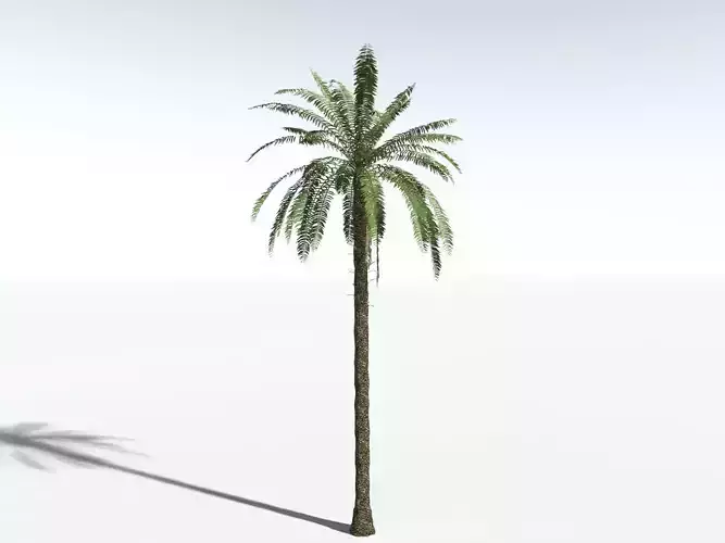 EVERYPlant Date Palm LowPoly