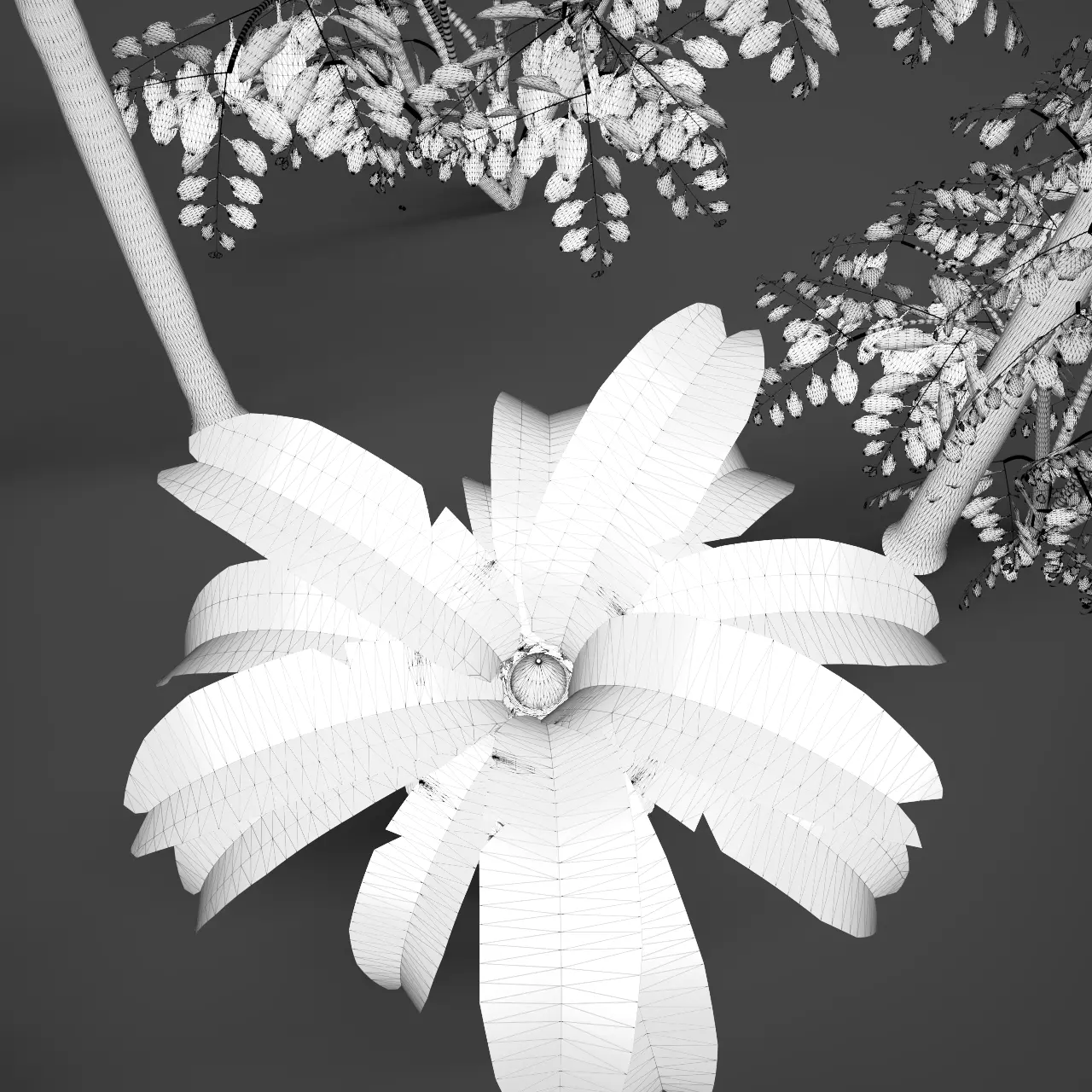 Essential Plant Pack  Palms Herbs and foliage 3D model_12