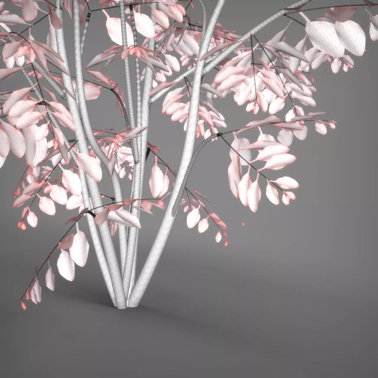 Essential Plant Pack  Palms Herbs and foliage 3D model_18