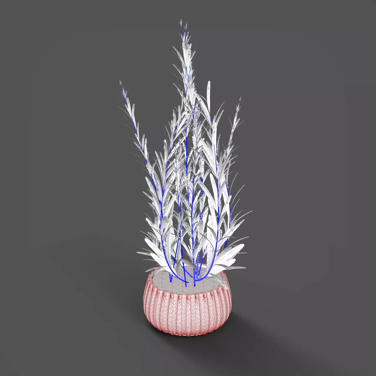 Essential Plant Pack  Palms Herbs and foliage 3D model_27