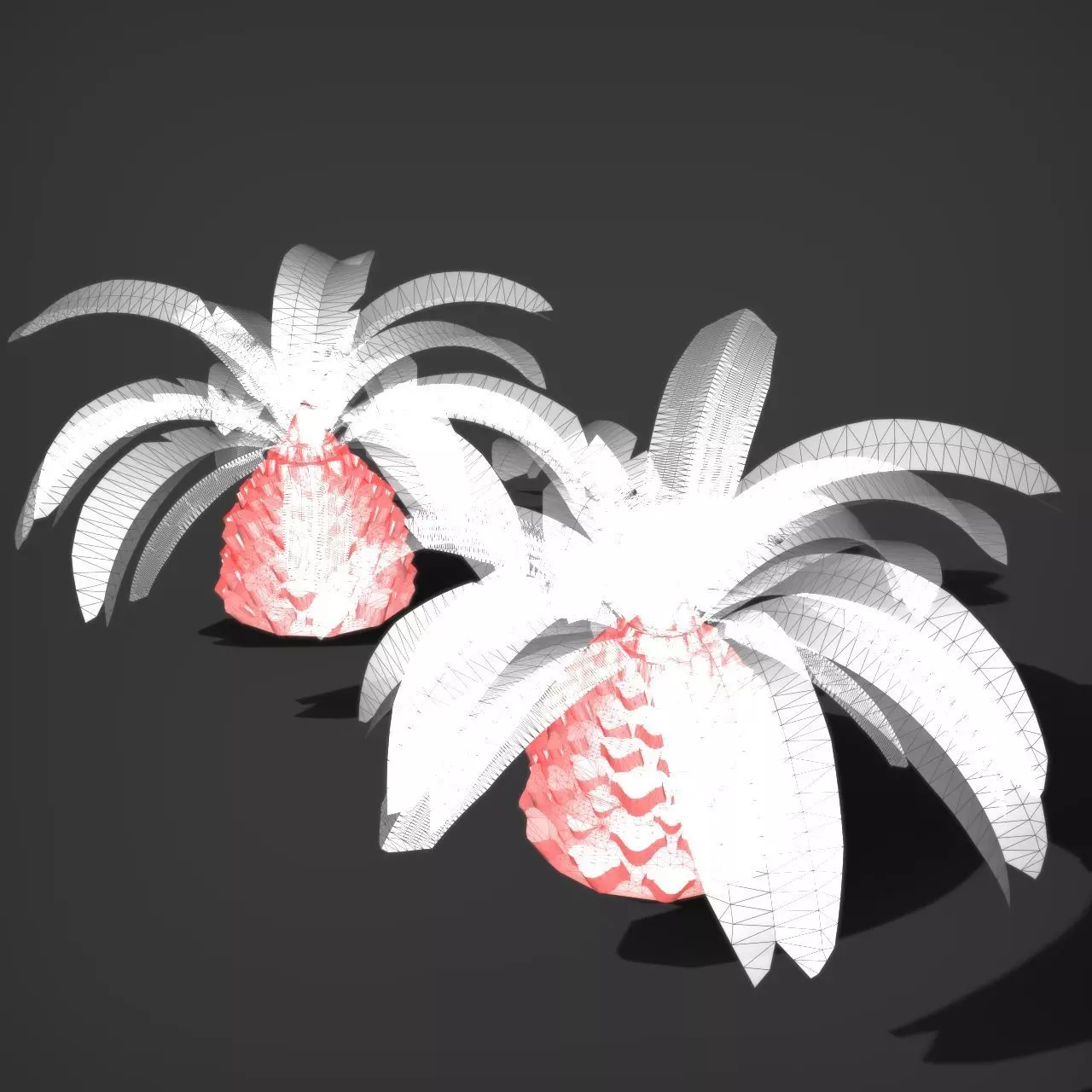 Essential Plant Pack  Palms Herbs and foliage 3D model_25