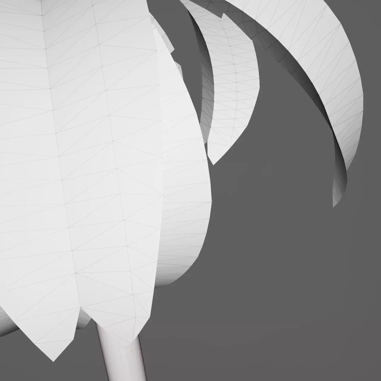 Essential Plant Pack  Palms Herbs and foliage 3D model_31