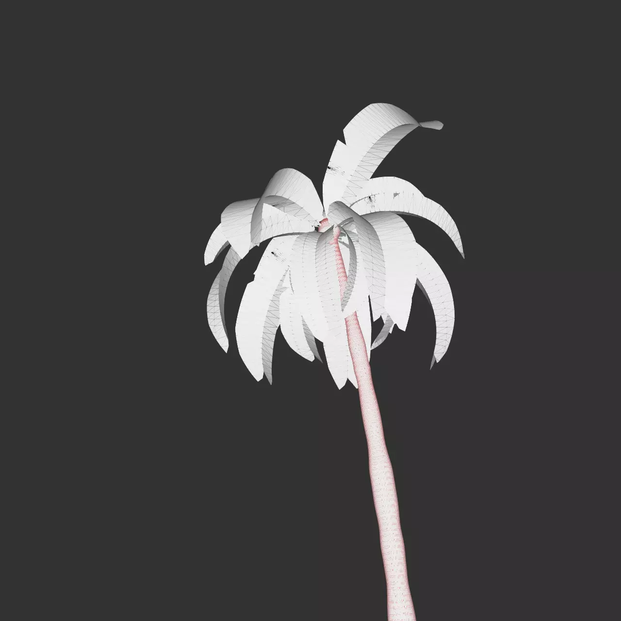 Essential Plant Pack  Palms Herbs and foliage 3D model_23