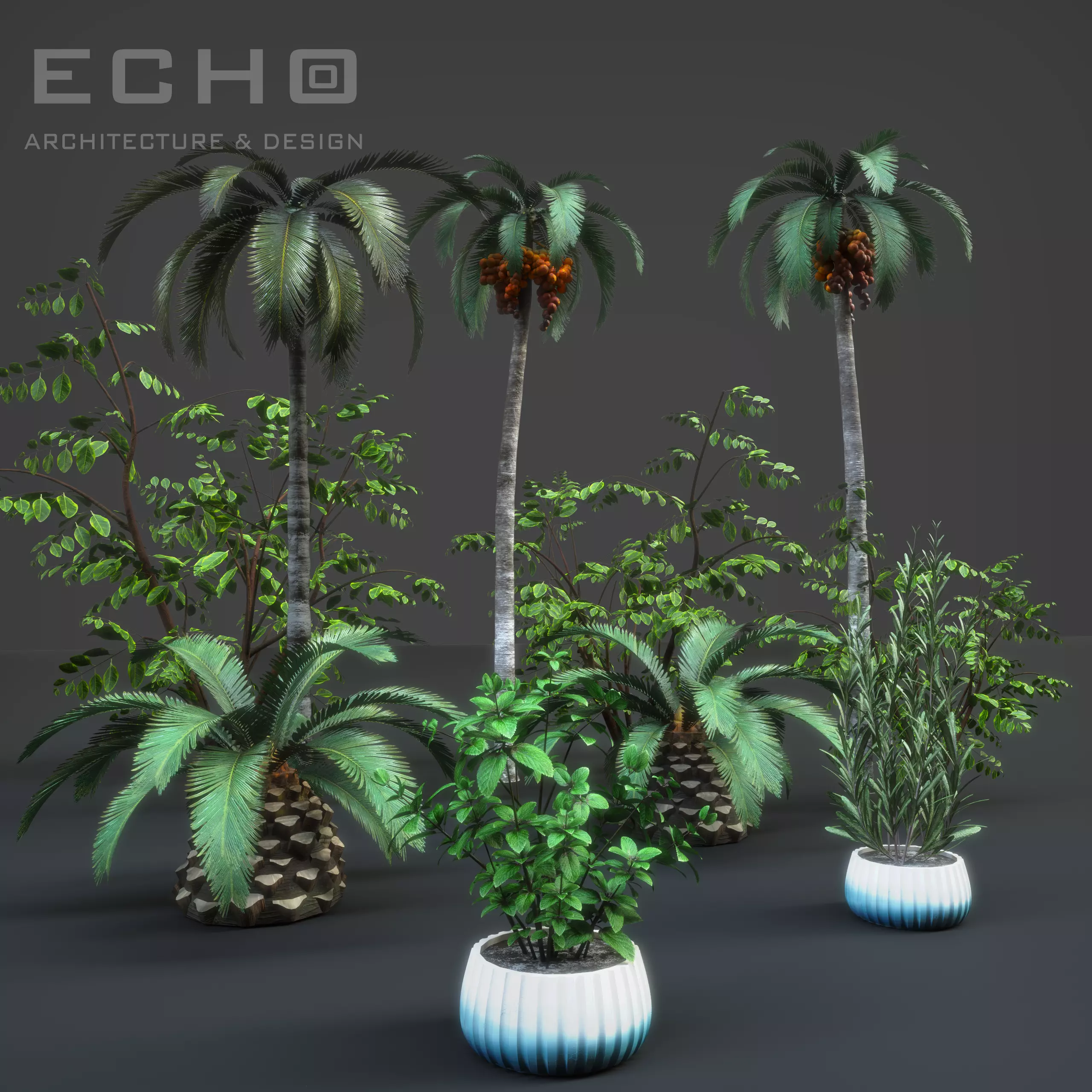 Essential Plant Pack  Palms Herbs and foliage 3D model_0