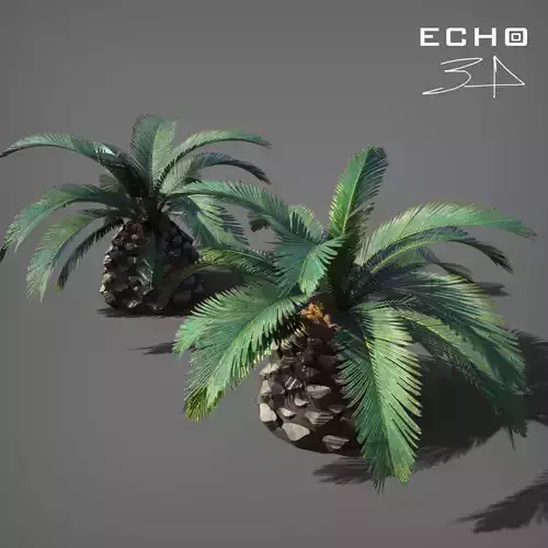 Essential Plant Pack  Palms Herbs and foliage 3D model 2
