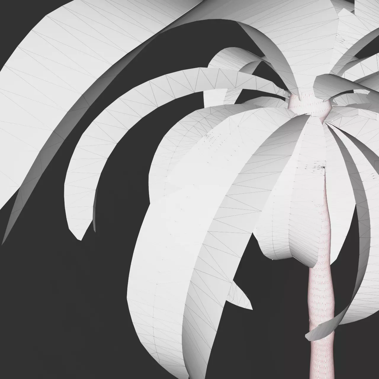 Essential Plant Pack  Palms Herbs and foliage 3D model_24