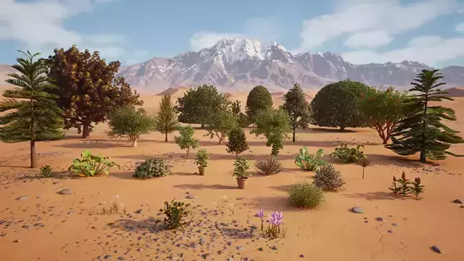 Moroccan Arid Plants Trees and Spice Garden 3D Pack