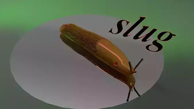 Slug of garden 3D print model