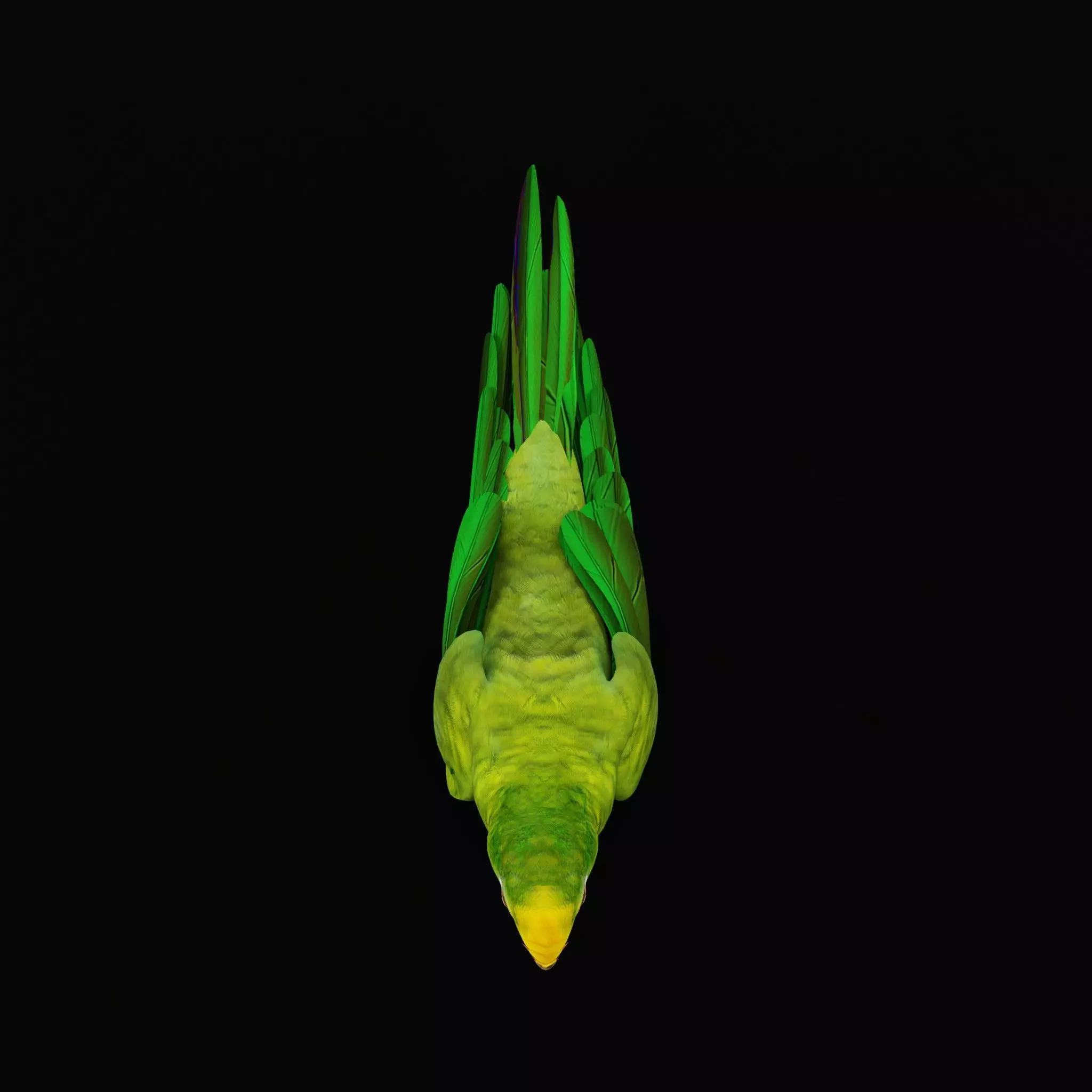 Yellow Crowned Amazon Parrot Bird Low-poly 3D model_14