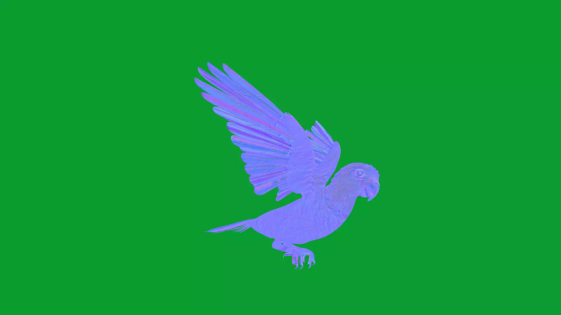 Yellow Crowned Amazon Parrot Bird Low-poly 3D model_36